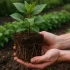 Ontdek de innovatieve badkameroplossingen van Velunova