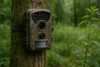 Alles wat je moet weten over wildcameras: toepassingen, technologie en tips